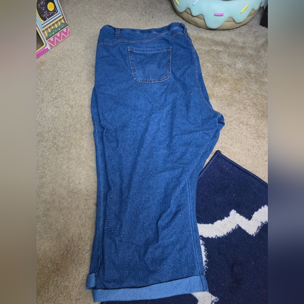 Terra & Sky Women's 4x 28w 30w Jean Capris